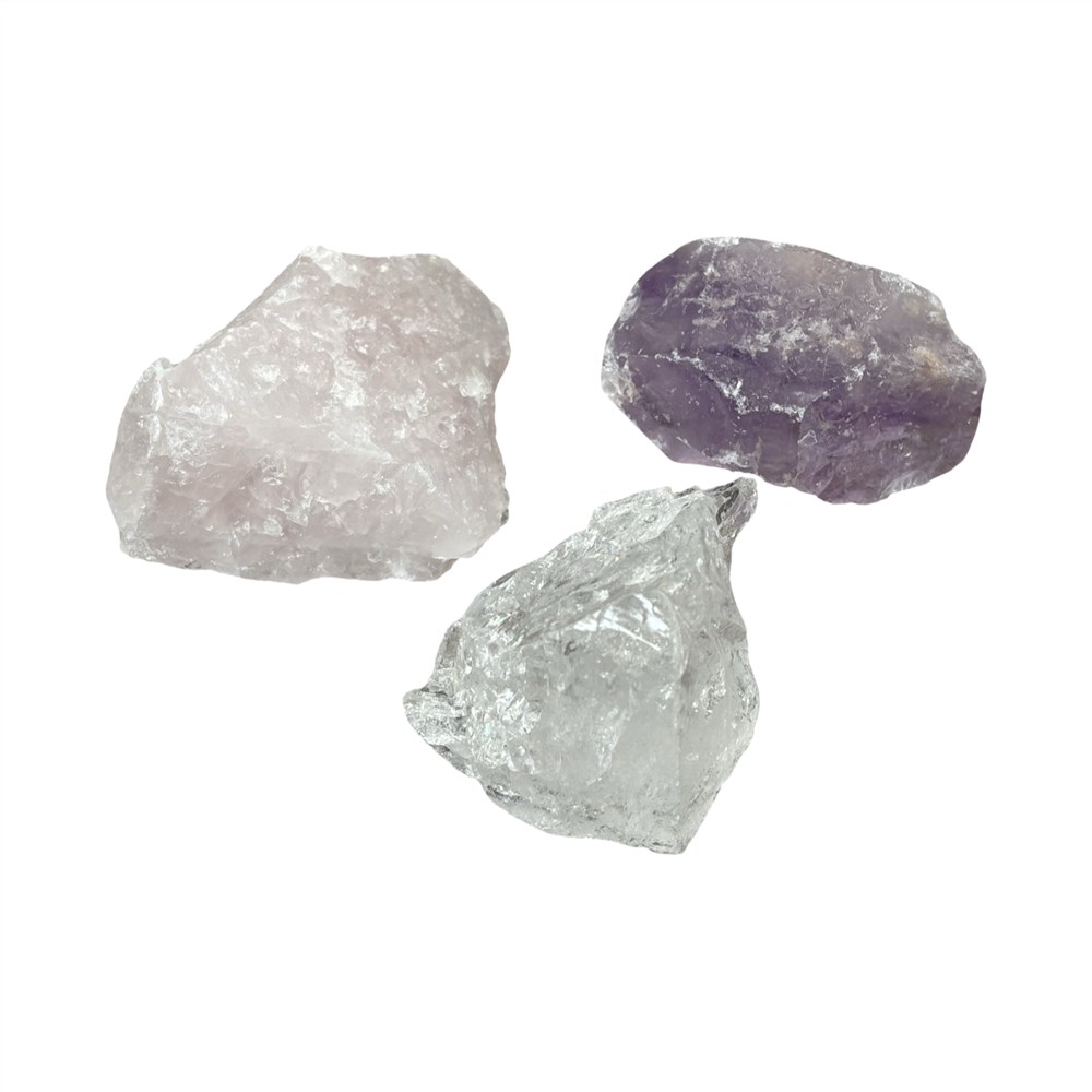 Biotensor starterset Biotensor starterset